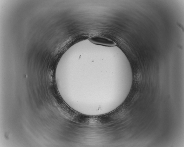 X0000099970264200806131538