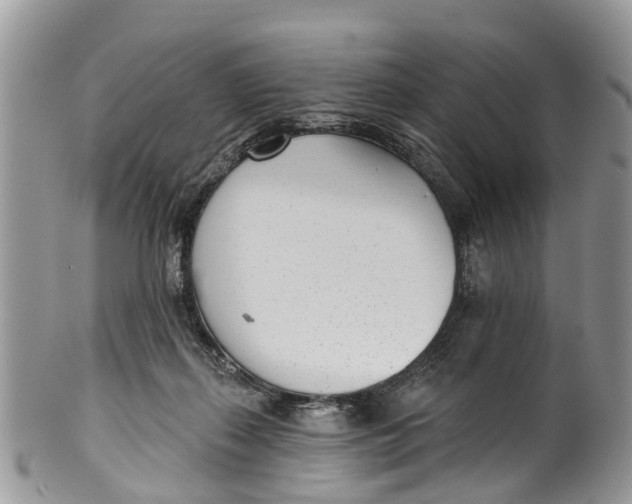 X0000099970267200806131538