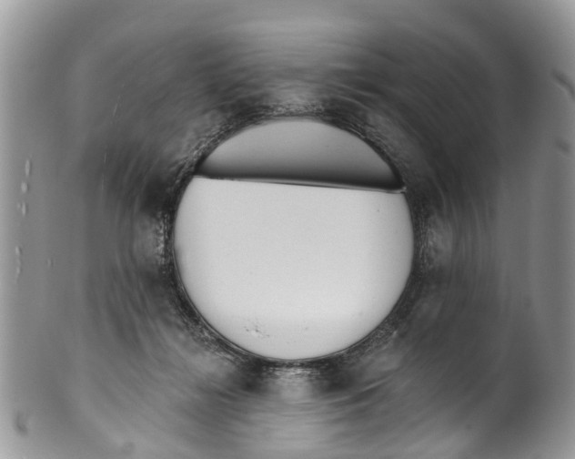 X0000099970268200806131538