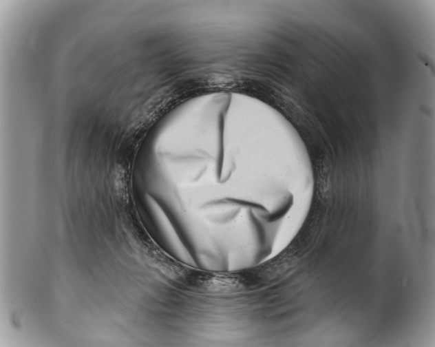 X0000099970270200806131539