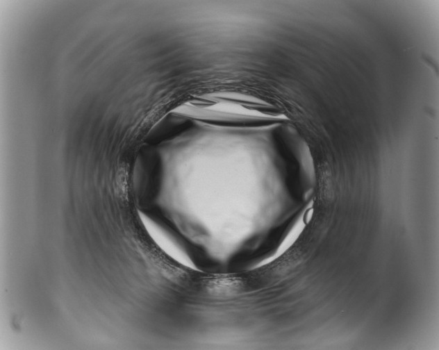 X0000099970274200806131539