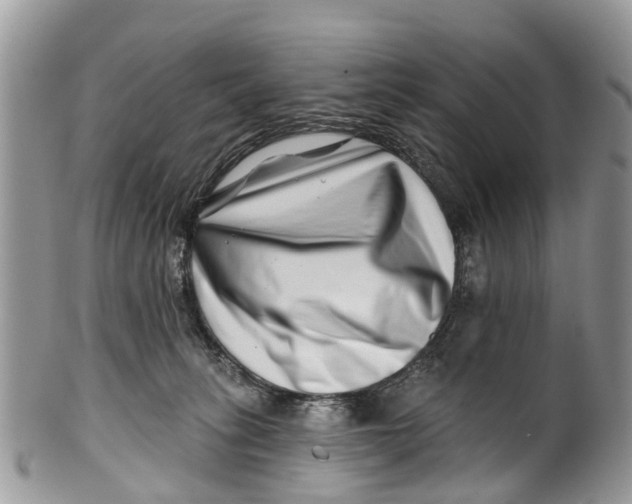 X0000099970275200806131539