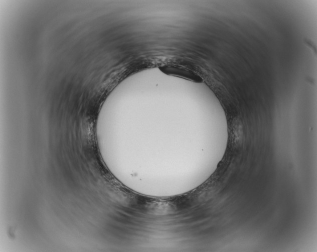 X0000099970276200806131539