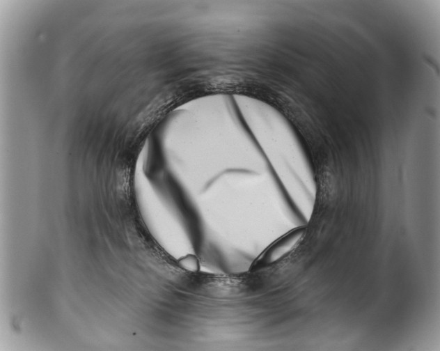 X0000099970278200806131539