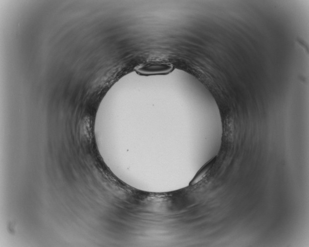 X0000099970280200806131539