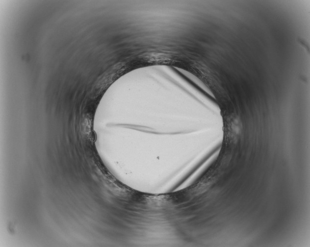 X0000099970281200806131539