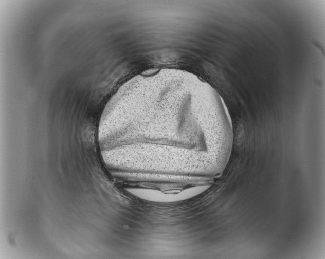 X0000099970282200806131539