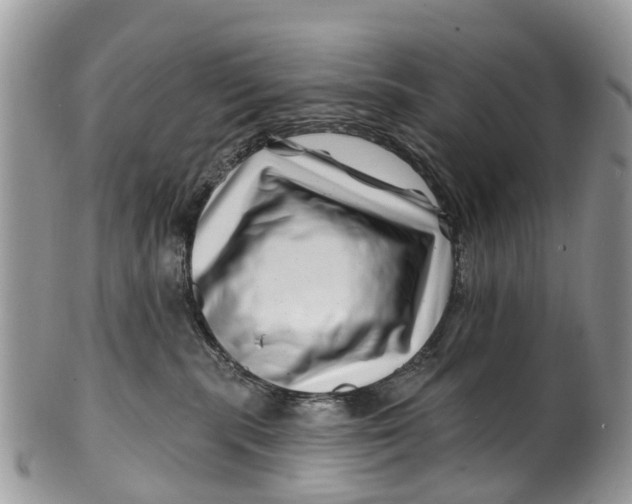 X0000099970283200806131539