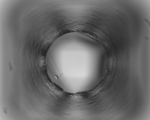 X0000099970284200806131539