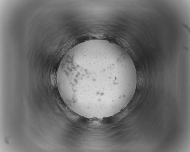 X0000099970285200806131539