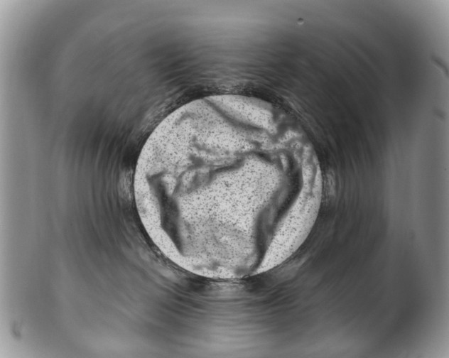 X0000099970286200806131539