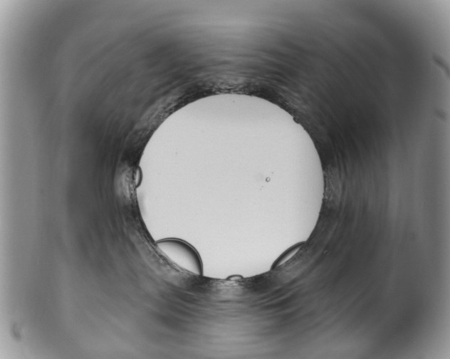 X0000099970287200806131539