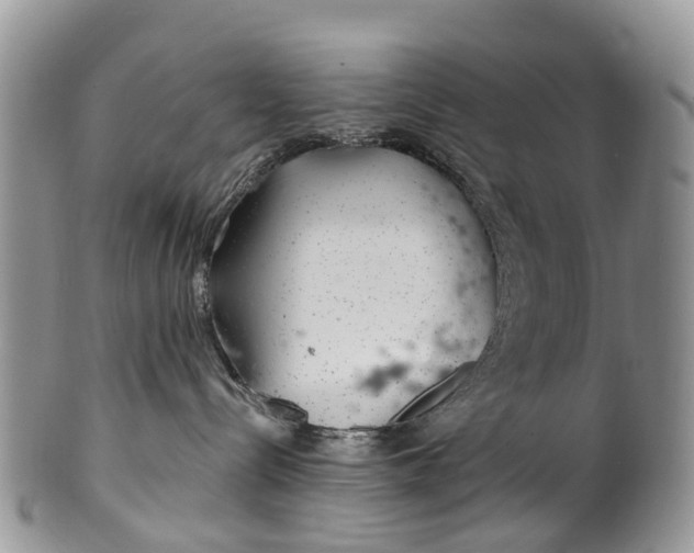 X0000099970288200806131539