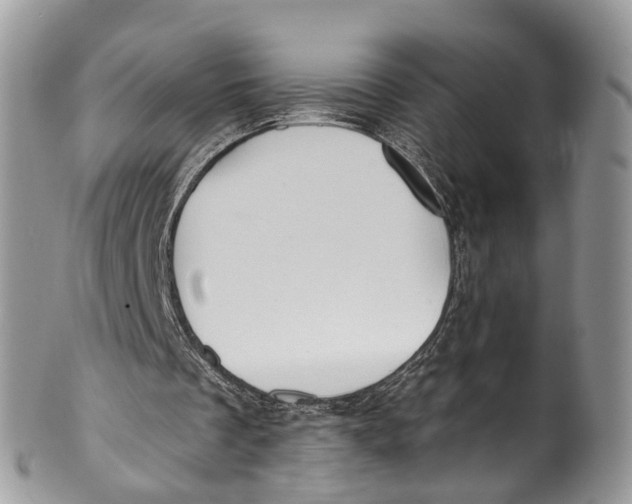 X0000099970289200806131538