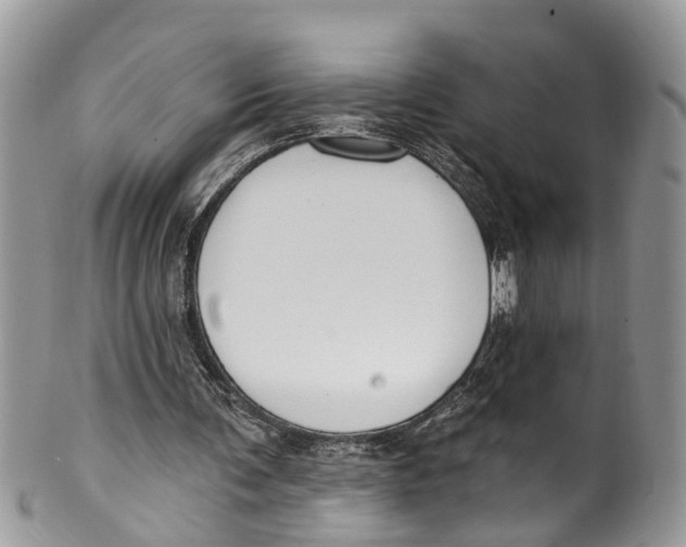 X0000099970291200806131538