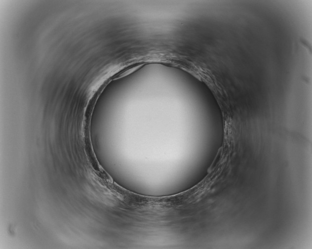 X0000099970292200806131538