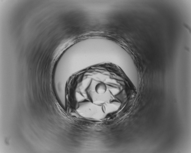 X0000099970293200806131538