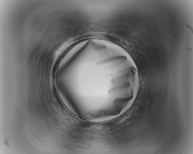 X0000099970294200806131538