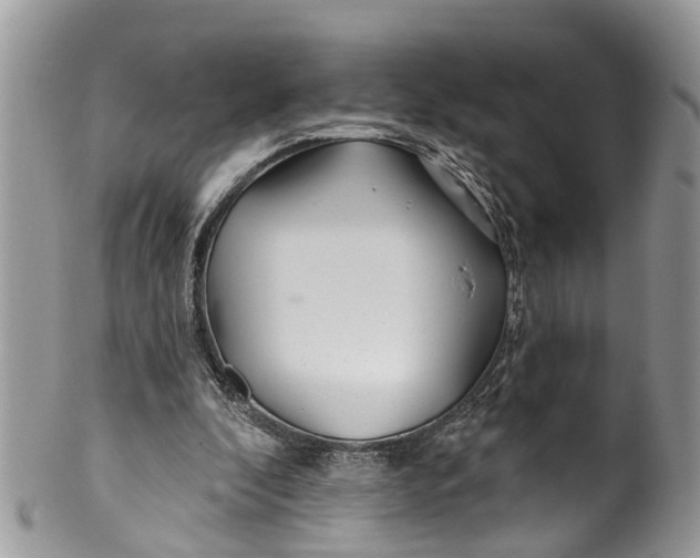 X0000099970296200806131538