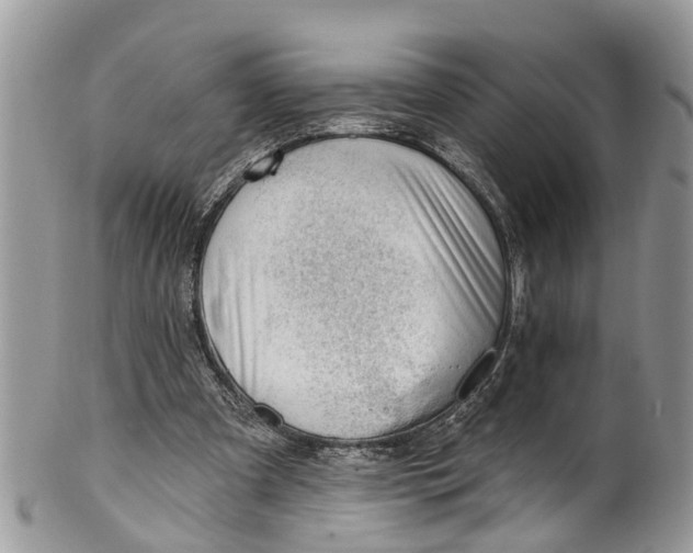 X0000099970297200806131538