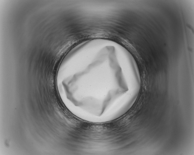 X0000099970298200806131538