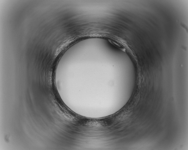 X0000099970299200806131538