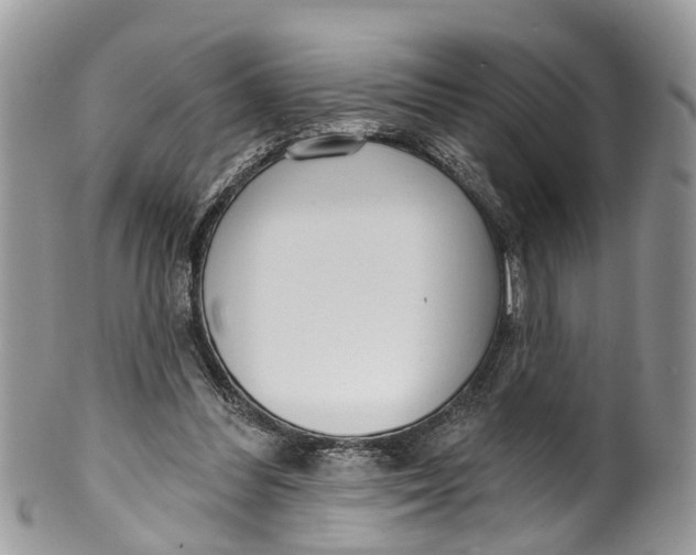 X0000099970300200806131538