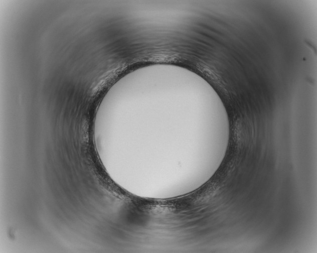 X0000099970303200806131538