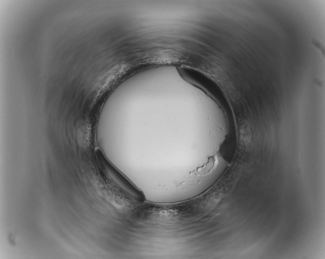 X0000099970304200806131538