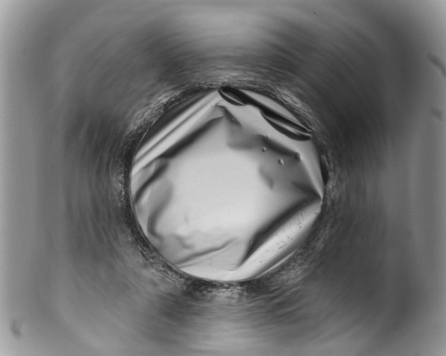 X0000099970306200806131538