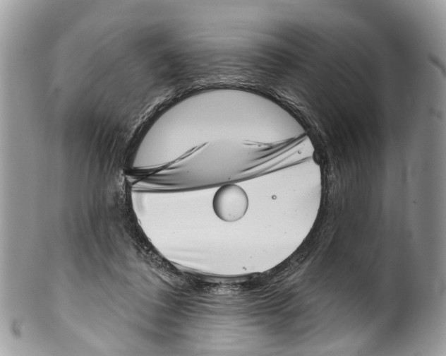 X0000099970308200806131538