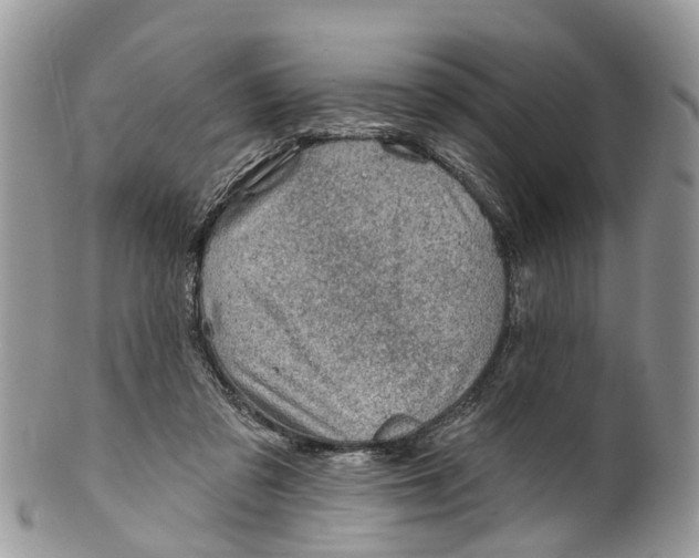 X0000099970309200806131538