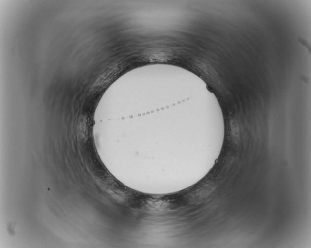 X0000099970311200806131538