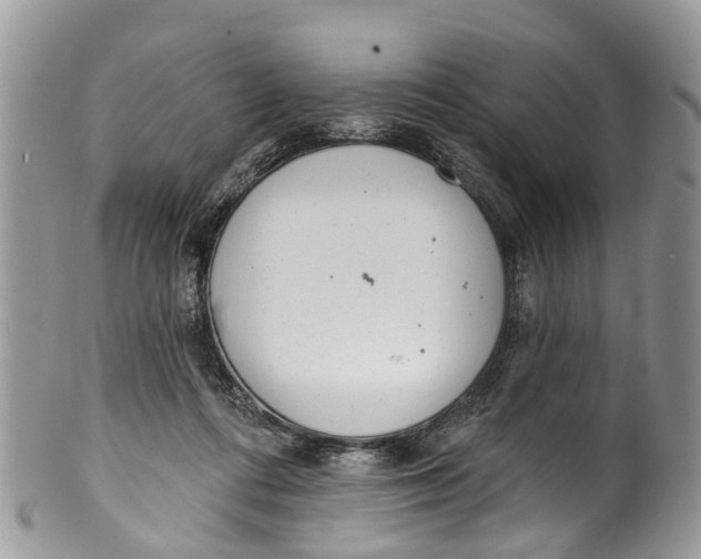 X0000099970312200806131538