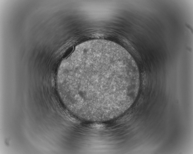 X0000099970313200806131538