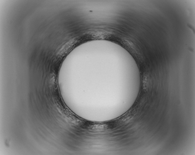 X0000099970314200806131538