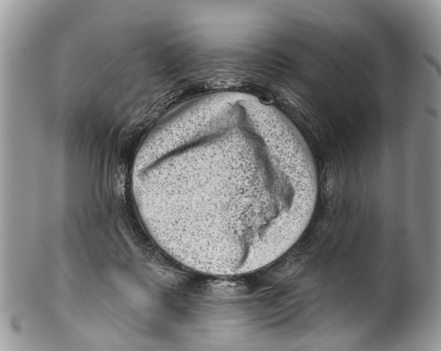 X0000099970315200806131538