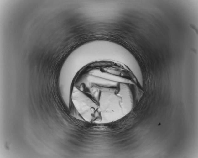 X0000099970316200806131538