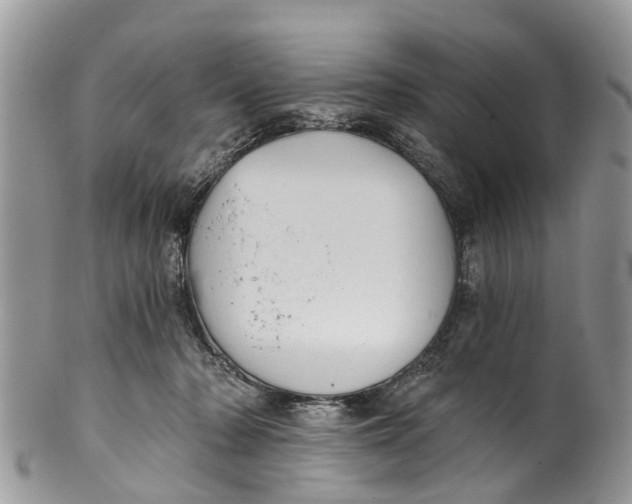 X0000099970318200806131538