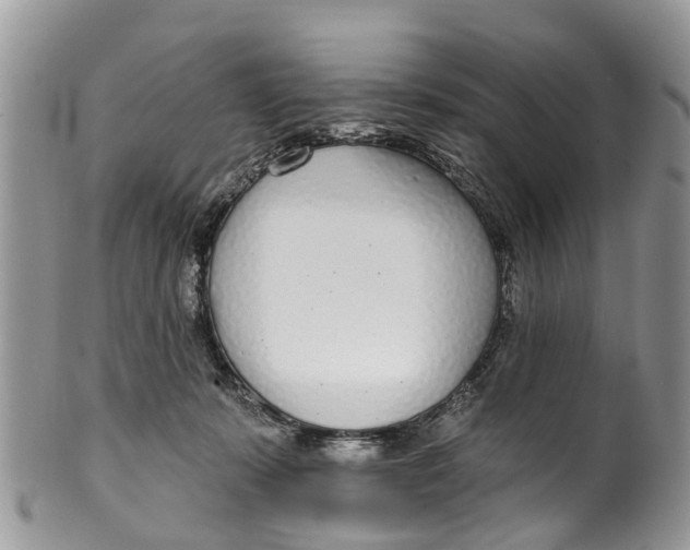 X0000099970319200806131538