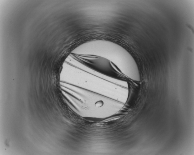 X0000099970320200806131538