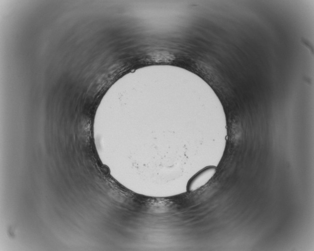 X0000099970321200806131537