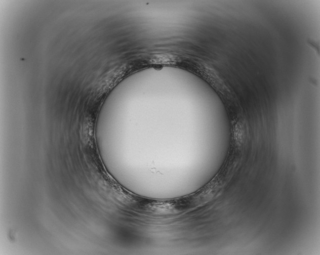 X0000099970322200806131537