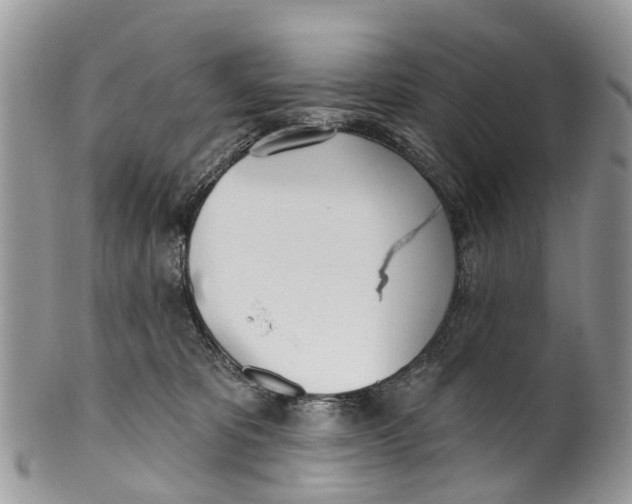 X0000099970325200806131537