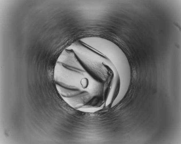 X0000099970329200806131537