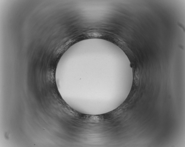 X0000099970330200806131537