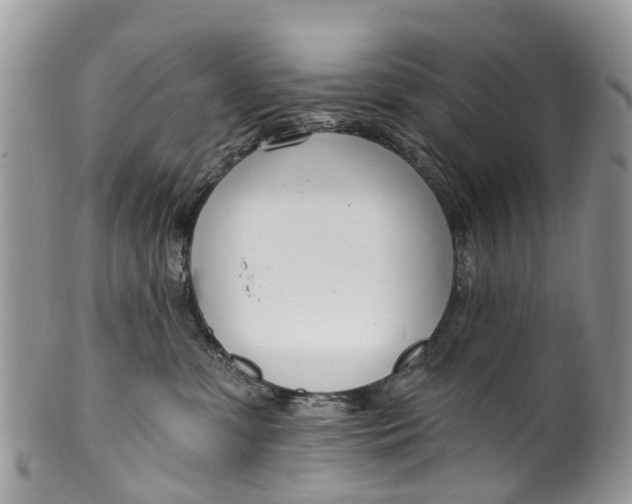 X0000099970331200806131537