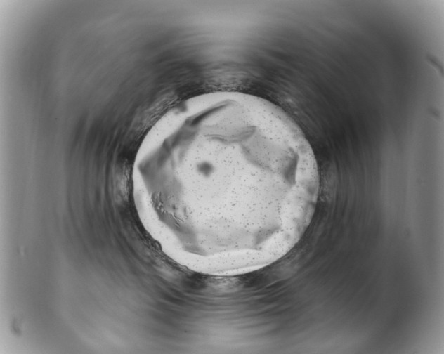 X0000099970334200806131537