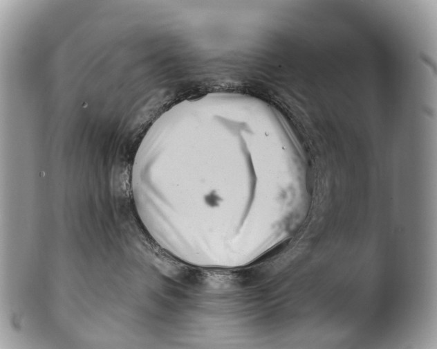 X0000099970336200806131537