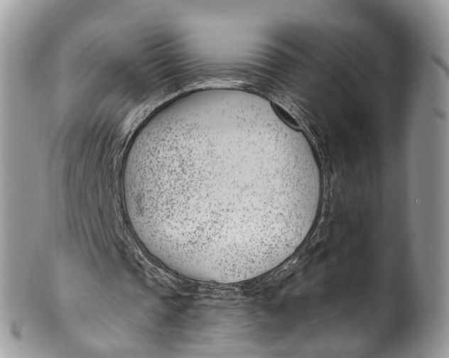 X0000099970337200806131537